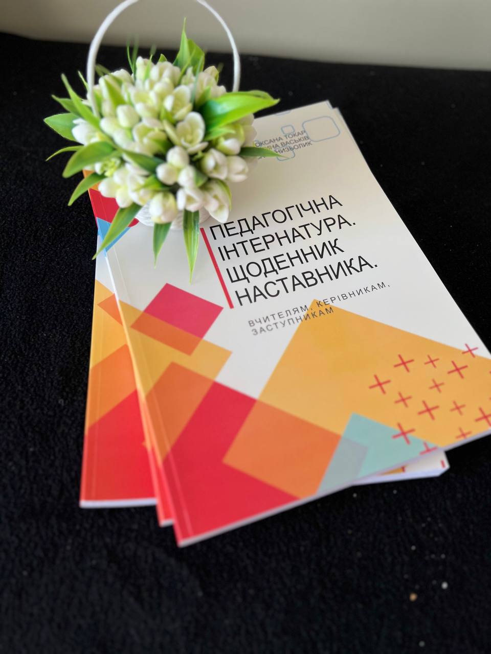 Посібник «Педагогічна інтернатура. Щоденник наставника»
